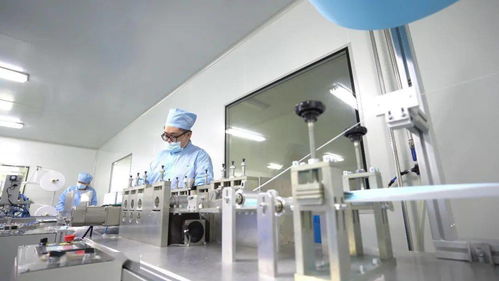 潮起千帆競 迎風(fēng)再起航